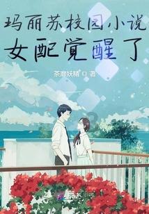 依维柯卡车拼拼看
